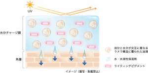 独自開発のラメラ乳化技術による水分チャージ膜を肌の上に形成