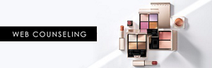 WEB COUNSELING