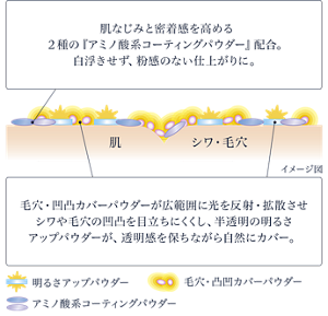 塗膜のイメージ図