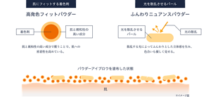 高発色フィットパウダーとふんわりニュアンスパウダーによる塗布イメージ図