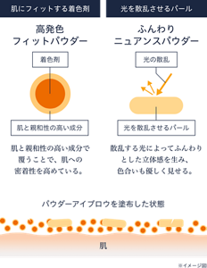 高発色フィットパウダーとふんわりニュアンスパウダーによる塗布イメージ図