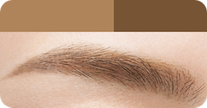 MB ミディアムブラウン