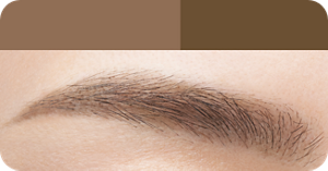 DB ダークブラウン