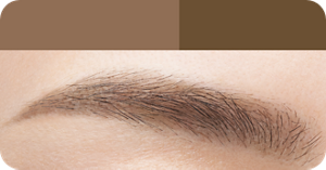 DB ダークブラウン