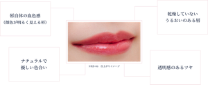media luxeが考える理想の唇。