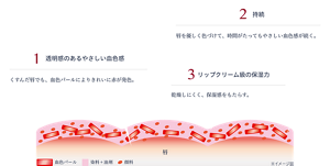 血色感ブーストリップのこだわり。1透明感のあるやさしい血色感 2持続 3リップクリーム級の保湿力