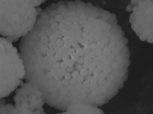 キメ流れ・毛穴の開きが目立つ肌をなめらかに見せる球状粉体の粉体イメージ画像