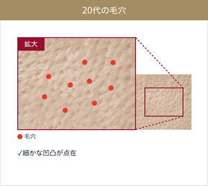20代の毛穴の拡大画像。 細かな凹凸が点在。