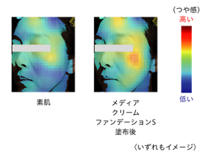 つや感をAIで測定　素肌 メディア クリームファンデーションS塗布後 イメージ