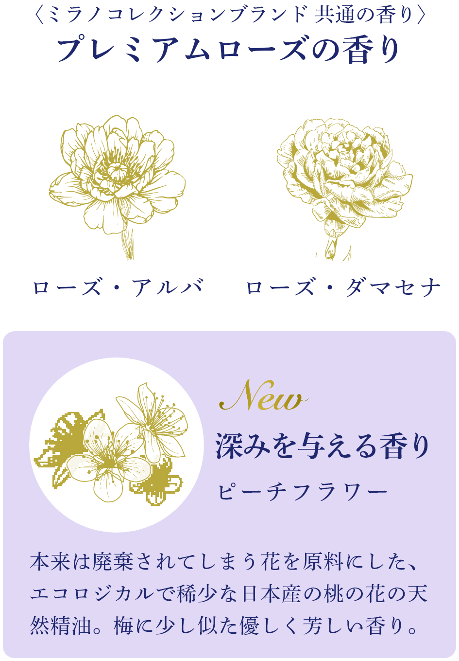 ボディフレッシュパウダー2022 | Milano Collection | カネボウ化粧品
