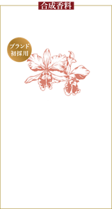 合成香料 スパイシーさと甘さを併せ持つ芳しい香り 原種　カトレア・ヴァシェヴィツィ ブランド初採用 約10年に及ぶ原種蘭研究から、精度の高い香りの再現に成功 普段見かける蘭の女王“カトレア”は、見た目の美しさのため品種改良が重ねられ強い香りを持たない。一方原種は種ごとに非常に華やかな香りを放つが、絶滅危惧のため取引規制されており天然精油は存在しない。その稀少な原種の香気成分を初めて解析し、種々の天然精油や精密合成された香料素材を使用し、精度の高い香りの再現に成功した。