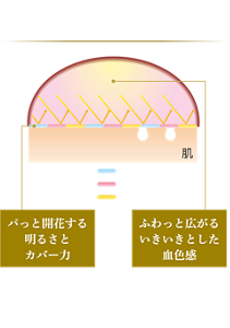 華やぎピンクベール処方の秘密 パっと開花する明るさとカバー力 花びら状板状パウダーでキメ細かく光りを散乱、隙間なく細部までカバー ふわっと広がるいきいきとした血色感 ピンクベールパウダーとブライトベースパウダーで明るく血色感のある肌印象が続く 花びら状板状パウダー ピンクベールパウダー ブライトベースパウダー