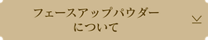 フェースアップパウダーについて