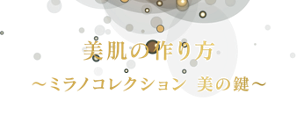 美肌の作り方 ～ミラノコレクション 美の鍵～
