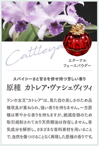 Cattleya エターナル フェースパウダー スパイシーさと甘さを併せ持つ芳しい香り 原種 カトレア・ヴァシェヴィツィ ランの女王“カトレア”は、見た目の美しさのため品種改良が重ねられ、強い香りを持ちません。一方原種は華やかな香りを持ちますが、絶滅危惧のため取引規制されており天然精油は存在しません。香気成分を解析し、さまざまな香料素材を用いることで、自然を傷つけることなく再現した原種の香りです。