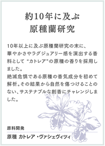 約10年に及ぶ原種蘭研究 10年以上に及ぶ原種蘭研究の末に、 華やかさやラグジュアリー感を演出する香料として “カトレア”の原種の香りを採用しました。 絶滅危惧である原種の香気成分を初めて解析。その結果から自然を傷つけることのない、サステナブルな創香にチャレンジしました。 原料開発 原種 カトレア・ヴァシェヴィツィ