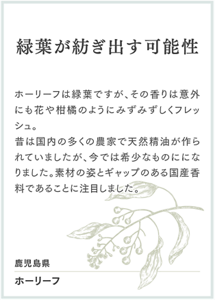 緑葉が紡ぎ出す可能性 ホーリーフは緑葉ですが、その香りは意外にも花や柑橘のようにみずみずしくフレッシュ。 昔は国内の多くの農家で天然精油が作られていましたが、今では希少なものにになりました。素材の姿とギャップのある国産香料であることに注目しました。 鹿児島県 ホーリーフ