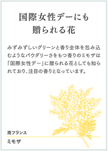 国際女性デーにも贈られる花 みずみずしいグリーンと香り全体を包み込むようなパウダリーさをもつ香りのミモザは「国際女性デー」に贈られる花としても知られており、注目の香りとなっています。 南フランス ミモザ