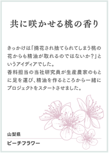 共に咲かせる桃の香り きっかけは「摘花され捨てられてしまう桃の花からも精油が取れるのではないか？」というアイディアでした。 香料担当の当社研究員が生産農家のもとに足を運び、精油を作るところから一緒にプロジェクトをスタートさせました。 山梨県 ピーチフラワー