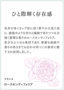 ひと際輝く存在感 花弁が多くカップ状に咲く華やかな見た目に、蜂蜜のような甘さと繊細でありつつも力強く豊潤な香りのローズセンティフォリア。希少なエシカル素材であり、華麗な風貌や香りの高さまでも合わせ持つこの素材に魅了され採用しました。 フランス ローズセンティフォリア
