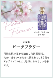 Peach Flower オードパルファム 2022 山梨県 ピーチフラワー 可憐な桃の花から抽出した天然精油。 大きい桃をつくるために摘まれてしまう花をアップサイクルした、地球にもやさしい香料です。