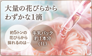オードパルファム2027 | Milano Collection | カネボウ化粧品