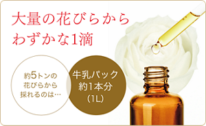 大量の花びらからわずかな1滴 約5トンの花びらから採れるのは…牛乳パック約1本分（1L）