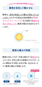 カネボウ化粧品独自開発の技術 酵素を安定して働かせる 酵素は、湿気や高温により働きが弱まってしまいます。カネボウ化粧品は独自開発の「酵素をシルクでコーティング」する技術で酵素を湿気から守ることで、酵素の働きを安定化させています。 酵素の働きが持続 酵素を含むパウダーを寄せ集めて「顆粒状」にしています。空気と接する面積が小さくなり、さらに顆粒のすき間に水分が吸い込まれることで、酵素の働きが持続します。