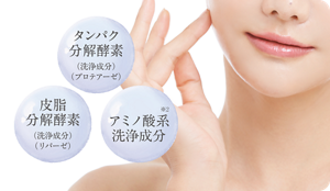 タンパク質分解酵素（プロテアーゼ） 皮脂分解酵素（洗浄成分）（リパーゼ） アミノ酸系洗浄成分※2