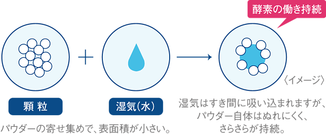 顆粒+湿気（水）→ 酵素の働き持続 パウダーの寄せ集めで、表面積が小さい。 湿気はすき間に吸い込まれますが、パウダー自体はぬれにくく、さらさらが持続。 〈イメージ〉
