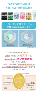 つるすべ肌の秘密はsuisaiの酵素洗顔！　リパーゼ・プロテアーゼの2種の酵素(洗浄成分)を配合　Lipase　Protease　〈いずれもイメージ〉　つるすべ肌を目指すためには、皮脂などが詰まった毛穴汚れと、タンパク質由来の古い角質汚れ、どちらのケアも重要。だから、2種の酵素（皮脂分解酵素リパーゼ・タンパク質分解酵素プロテアーゼ）を配合することがカギとなります。　しぶとい角栓も2種の汚れでできている！　〈イメージ〉