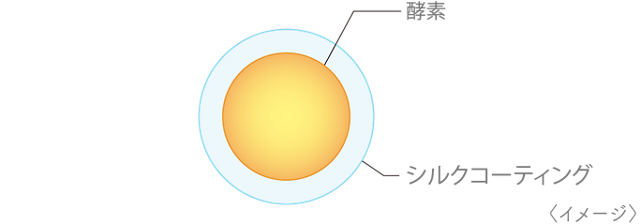 酵素 シルクコーティング 〈イメージ〉