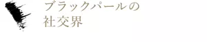 ブラックパールの社交界 マスカラ　ブラック