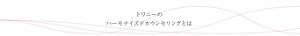 トワニーのハーモナイズドカウンセリングとは