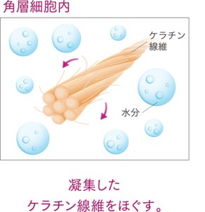 凝集したケラチン線維をほぐす。