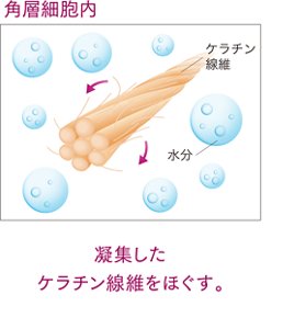 凝集したケラチン線維をほぐす。