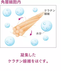 凝集したケラチン線維をほぐす。