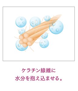 ケラチン線維に水分を抱え込ませる。