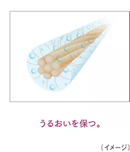 うるおいを保つ。