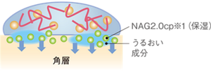 うるおい成分がNAG2.0cp※1（保湿）を角層深くまで届け、満たす（イメージ）