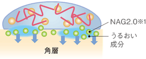 うるおい成分が「NAG2.0」を角層深くまで届け、満たす（イメージ）