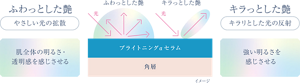 ふらっとした艶とキラッとした艶のイメージ図