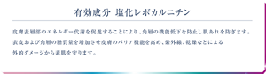 有効成分 塩化レボカルニチン 皮膚表層部のエネルギー代謝を促進することにより、角層の機能低下を防止し肌あれを防ぎます。表皮および角層の脂質量を増加させ皮膚のバリア機能を高め、紫外線、乾燥などによる外的ダメージから素肌を守ります。