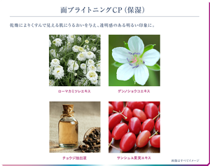 面ブライトニングCP（保湿） 乾燥によりくすんで見える肌にうるおいを与え、透明感のある明るい印象に。