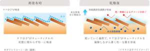 剤塗布時：ケア分子※がキューティクルの状態に関わらず均一に吸着→乾燥後：乾いていく過程で、ケア分子※がキューティクルを補修しながら薄く均一な膜を形成 ※ポリシリコーン29（補修）（イラストはすべてイメージ）