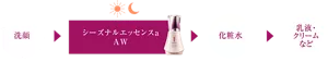 洗顔▶︎シーズナルエッセンスa AW▶︎化粧水▶︎乳液・クリームなど