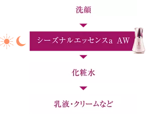 洗顔▶︎シーズナルエッセンスa AW▶︎化粧水▶︎乳液・クリームなど
