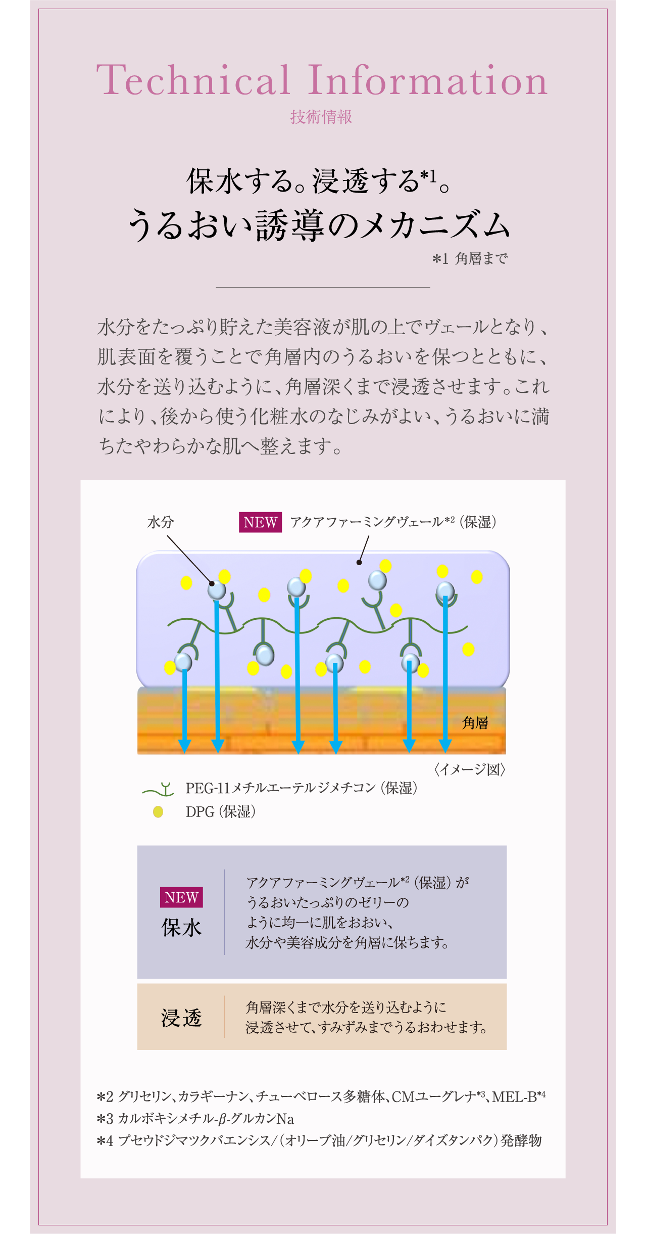 一日一日の 美しさのリズムへ 保水する 浸透する うるおいの誘導力 トワニー タイムリフレッシャーv twany カネボウ化粧品
