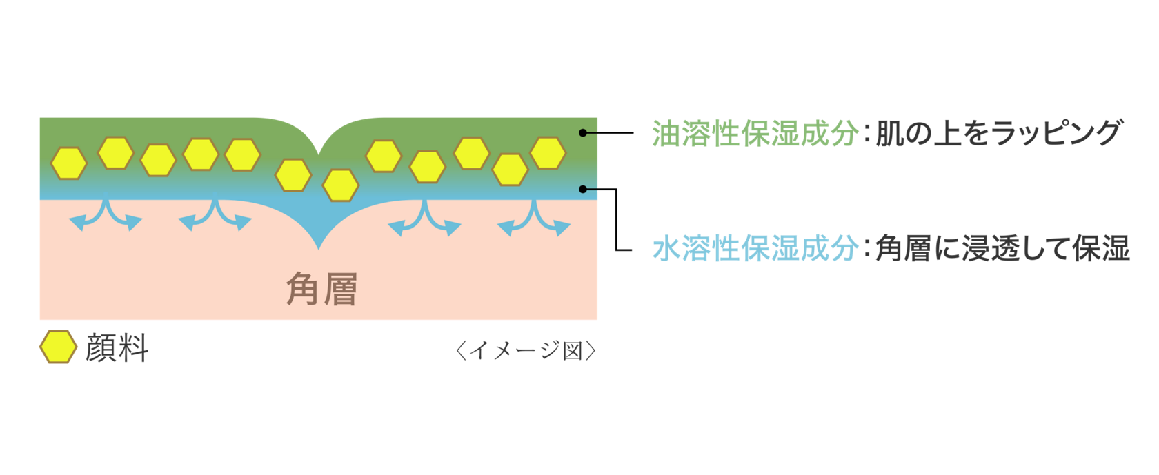 センチュリー ベースメイク | TWANY | カネボウ化粧品