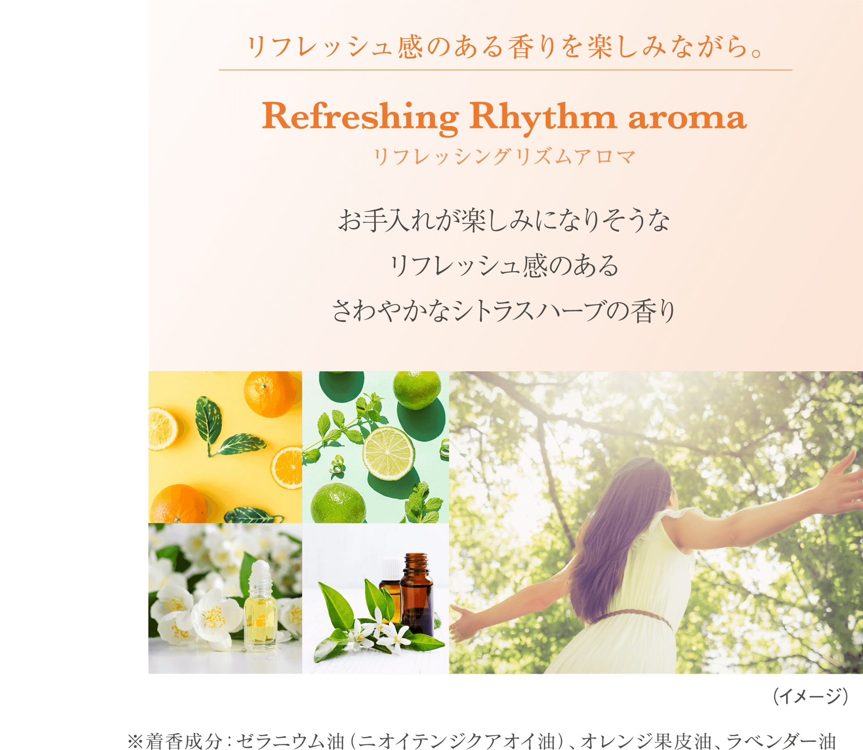 新w洗顔 Twany トワニー カネボウ化粧品